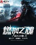 燃钢之魂 笔趣阁