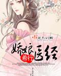 娇娘医经二皇子的痴傻治好了?
