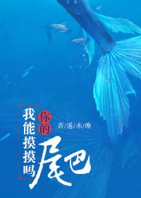 我能摸摸你的尾巴吗 作者杏遥未晚