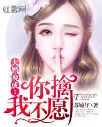 大婚晚成之老婆离婚无效