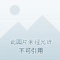 西游我唐僧收妖为徒