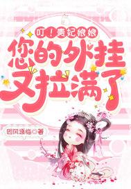 贵妃娘娘是什么意思