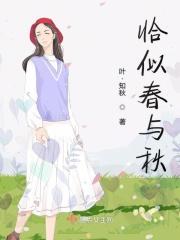 恰似春来免费阅读